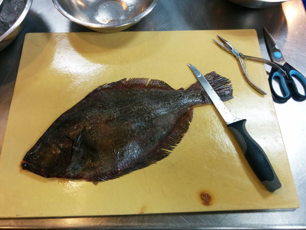 Flounder