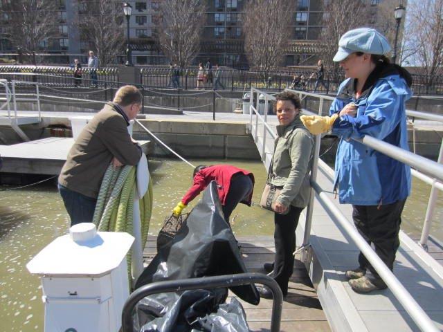 Oyster farming 2014 (2)