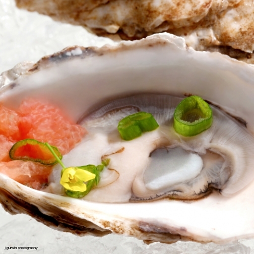 oysters