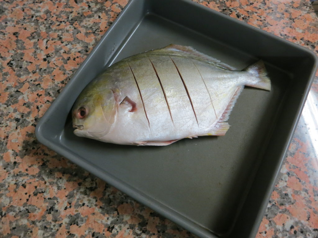 Golden Pompano