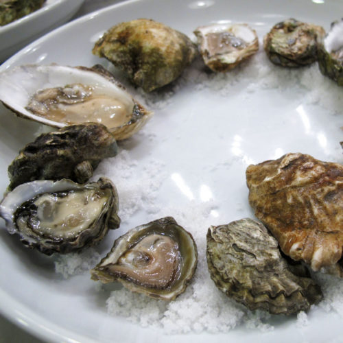 Workshop: Oysters 101 – Element Seafood